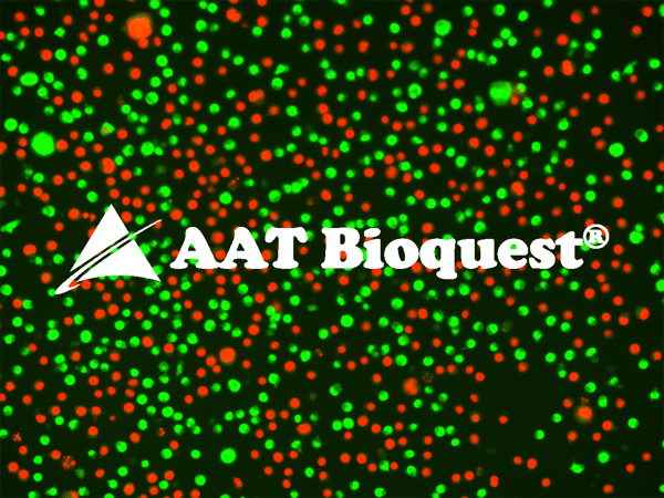Zelluläre Selbstzerstörung – Apoptose sichtbar machen mit TUNEL-Assays von AAT Bioquest