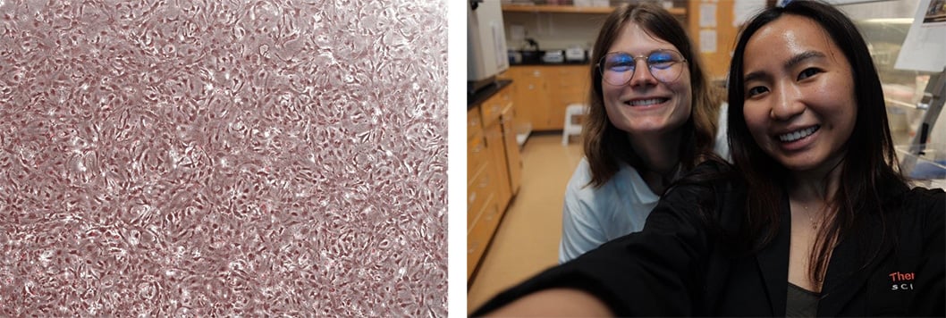 Kanada_Praktikum_Fig3