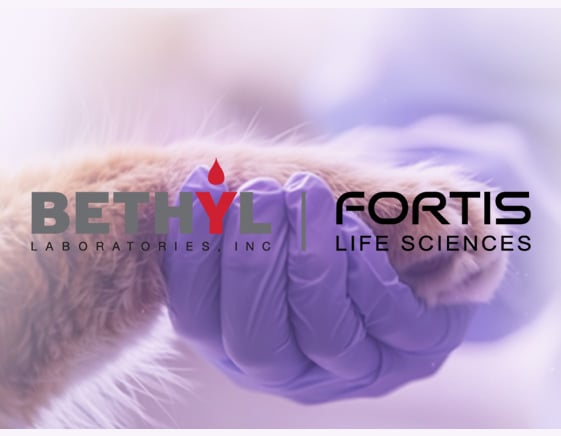 Tierisch gut: Veterinärmedizinische Antikörper von Bethyl