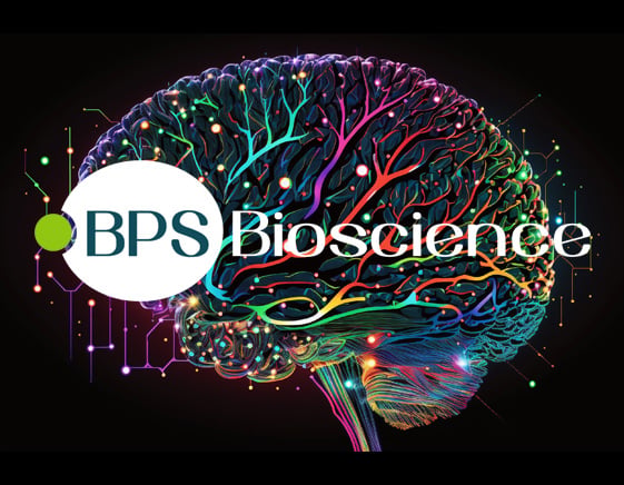 iPSCs für die Altersforschung und regenerative Medizin