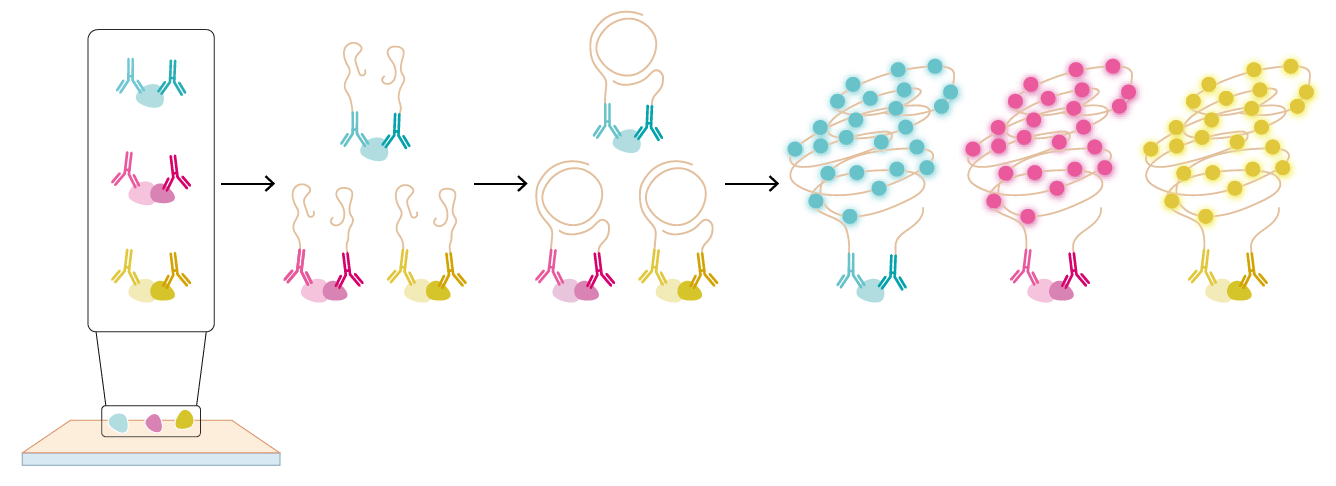 NaveniPlex_Figure1