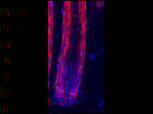 600-401-379S