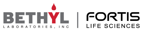 Bethyl-Logo