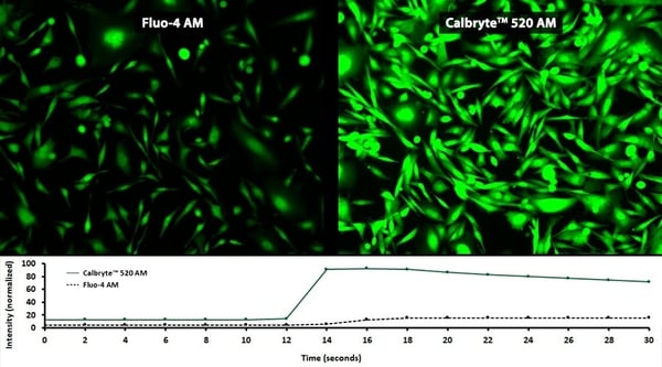 So finden Sie den richtigen Calcium-Indikator
