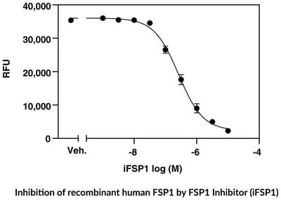 FSP1 Fluorescent Inhibitor Screening Assay Kit 