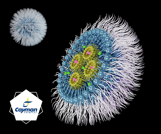 Lipid-basierte Drug Delivery-Entwicklung mit Cayman – Teil 1