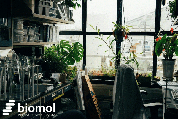 Lab goes Green: Machen Sie Ihr Labor fit für die Zukunft!