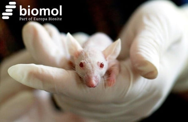 Towards Animal-free Science: Auf dem Weg zur Forschung ohne Tierversuche?