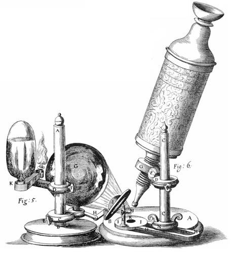 Robert Hookes Mikroskop