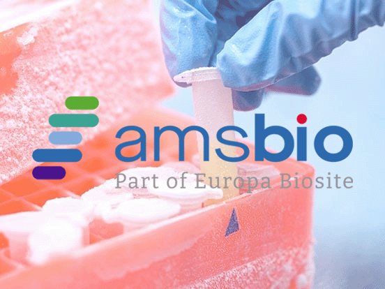 Cool bleiben: Mit CELLBANKER® von Amsbio Zellen sicher auf Eis legen