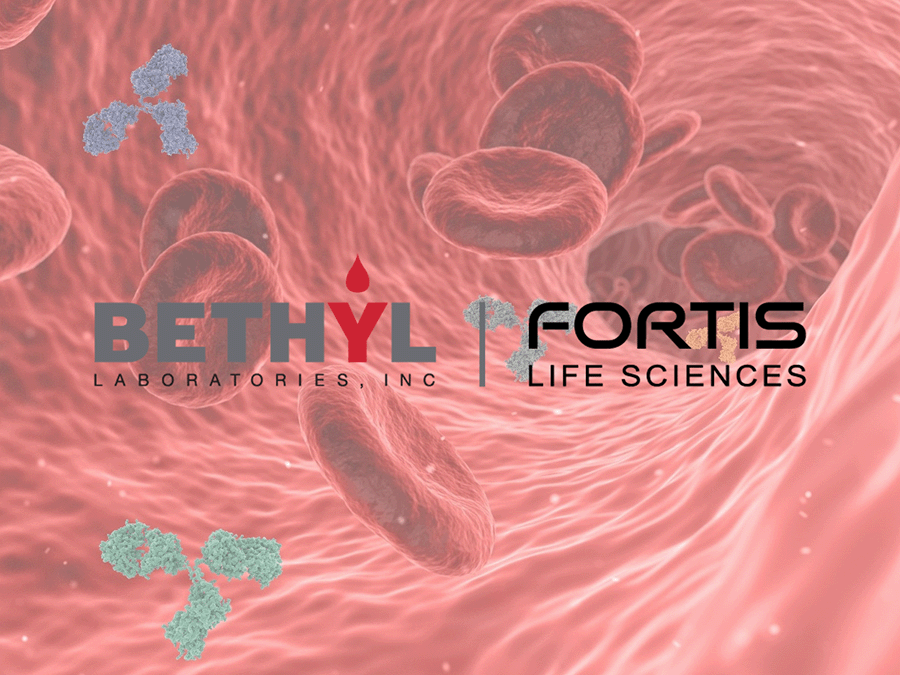 Albumin-Quantifizierung ohne Umwege: Arbeit mit ELISAs von Bethyl