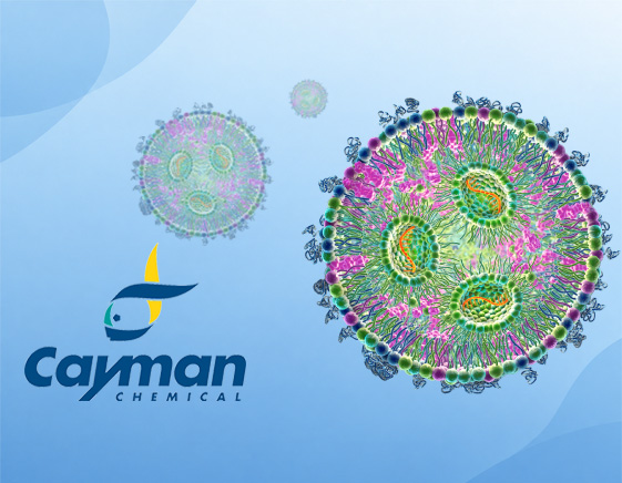 Fett verpackt: Cayman-LNPs bringen Biomoleküle ans Ziel – Teil 2