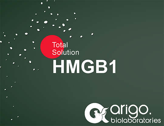 HMGB1 – Ein Protein mit vielen Gesichtern