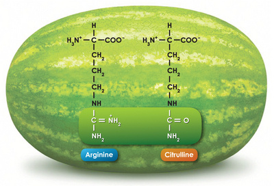 Citrullinierung und Autoimmunität