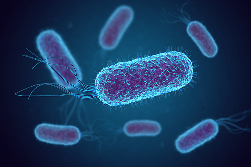 Wie wirken Antibiotika?