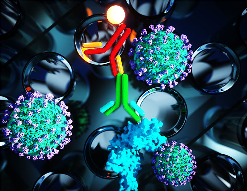 Die Wissenschaft hinter einem neuen ELISA zum Nachweis der Serokonversion bei COVID-19
