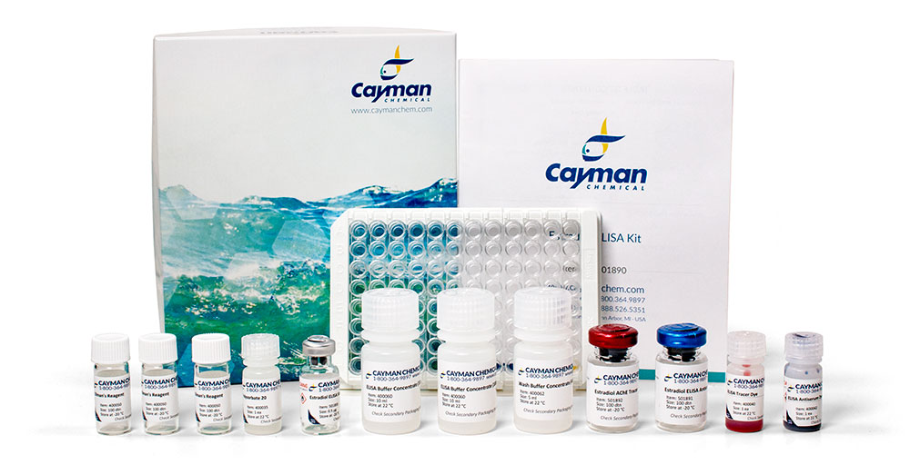 Das neu entwickelte Cayman Estradiol ELISA-Kit