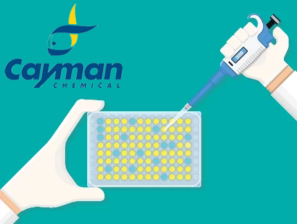 Die Top 10 ELISA-Kits von Cayman Chemical