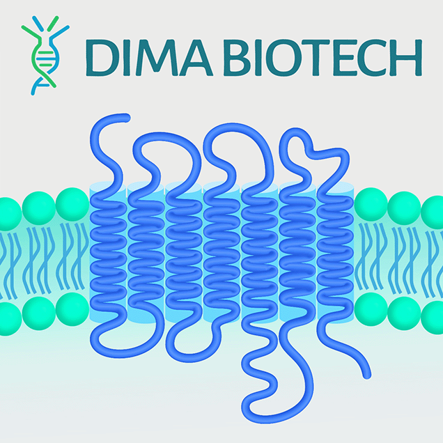 DiMPro™ Volllängen-Transmembranproteine von DIMA Biotechnology