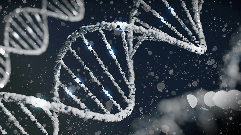 Wie epigenetische Veränderungen unsere Gene steuern