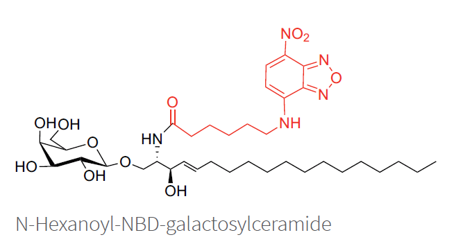 Fluoreszierende Galactosylceramide