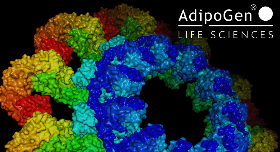Inflammasome -