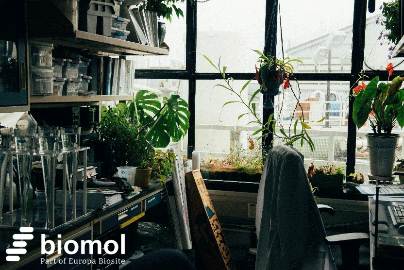 Lab goes Green: Machen Sie Ihr Labor fit für die Zukunft!