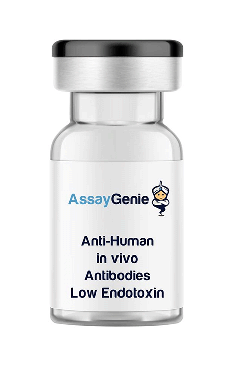 Beschleunigte in vivo-Forschung mit Assay Genie
