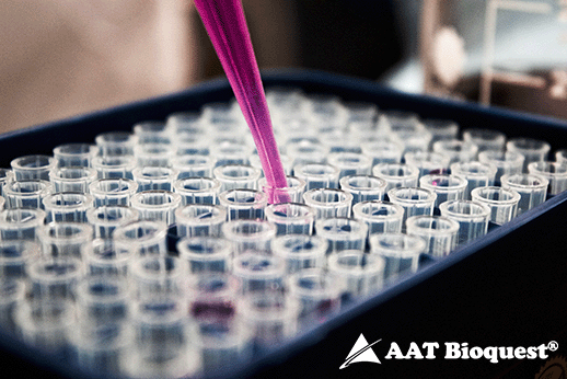 Optimierte qPCRs mit AAT Bioquest